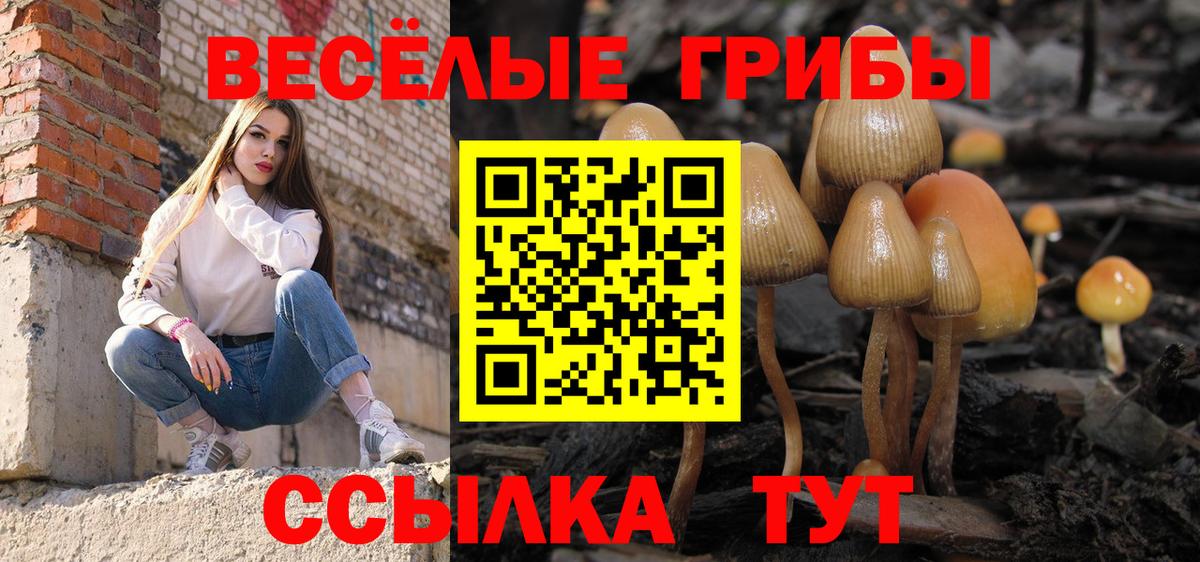 Орёл  Псилоцибиновые грибы прущие грибы  как найти   Вход с VPN 